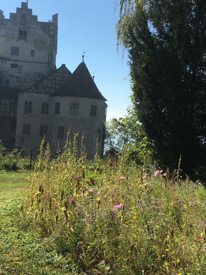 Ferienwohnungen Greitmann Meersburg Eksteriør billede